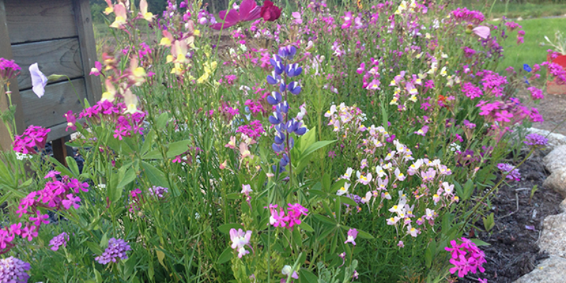 Garden Planning Stress