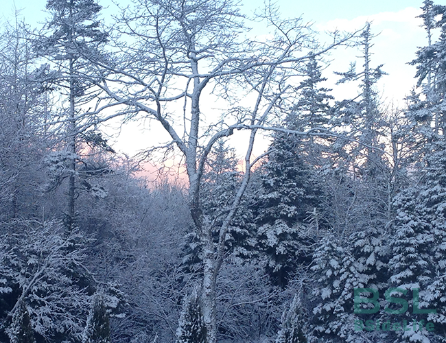 winter sunset